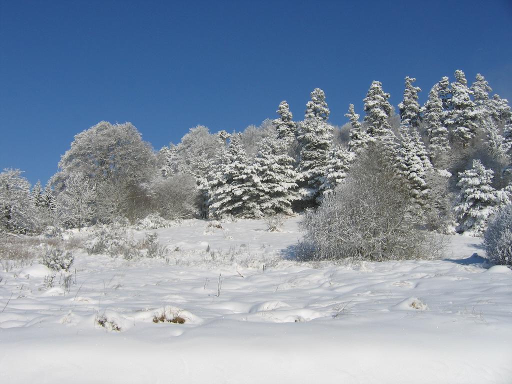 Medeyrolles La Ferme Des Genets B&B 외부 사진