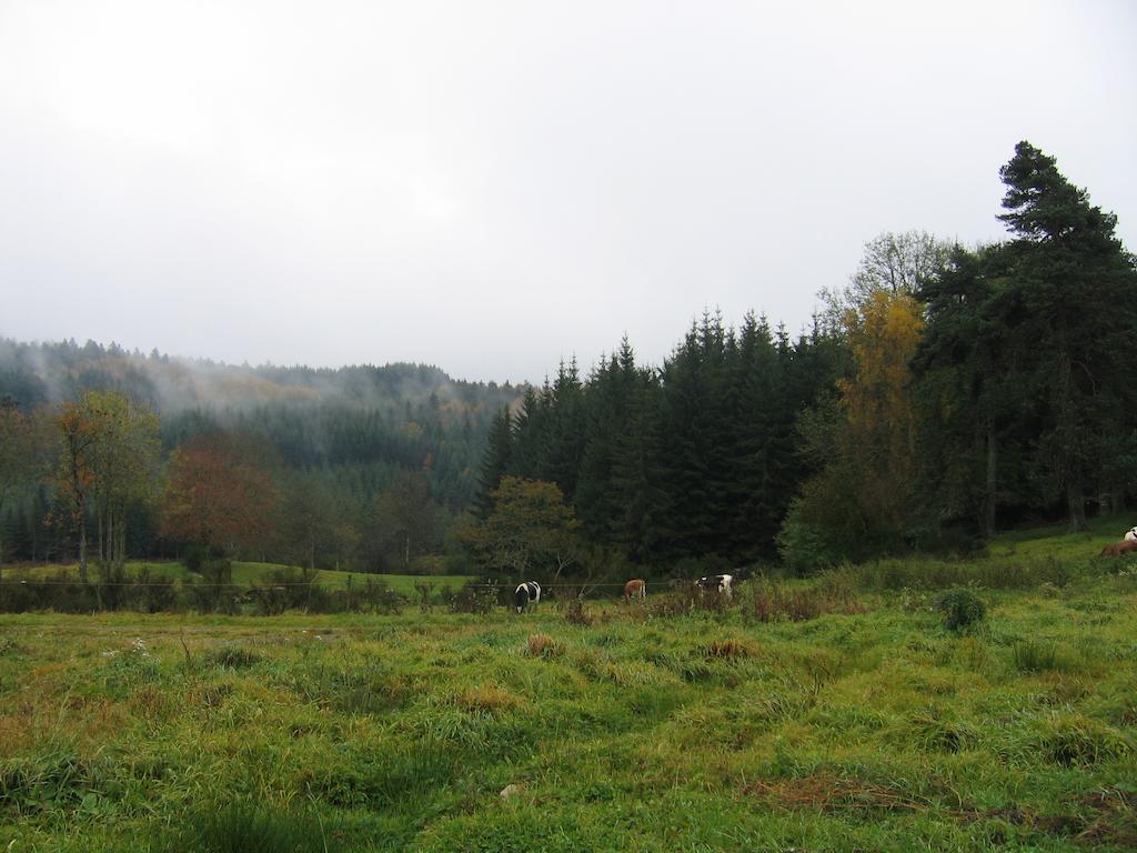 Medeyrolles La Ferme Des Genets B&B 외부 사진