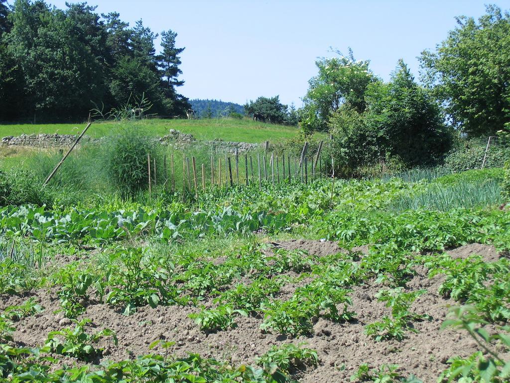 Medeyrolles La Ferme Des Genets B&B 외부 사진
